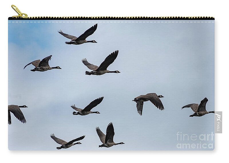 2019 Zip Pouch featuring the photograph Geese in Flight by Matthew Nelson