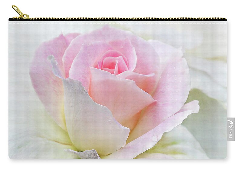 Gentle Beauty Zip Pouch featuring the photograph Gentle Beauty by Patty Colabuono