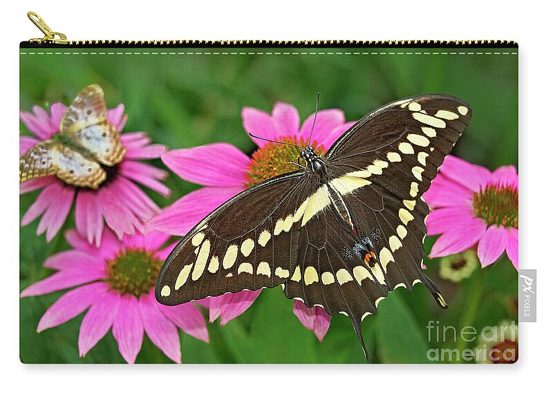 Dave Welling Zip Pouch featuring the photograph Giant Swallowtail Papilo Cresphontes by Dave Welling