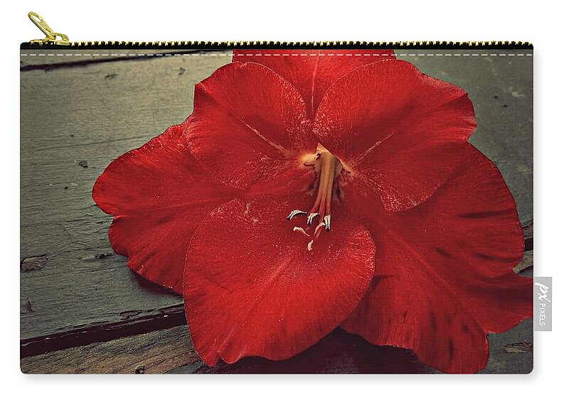 Gladiola Zip Pouch featuring the photograph Glad by Patricia Strand