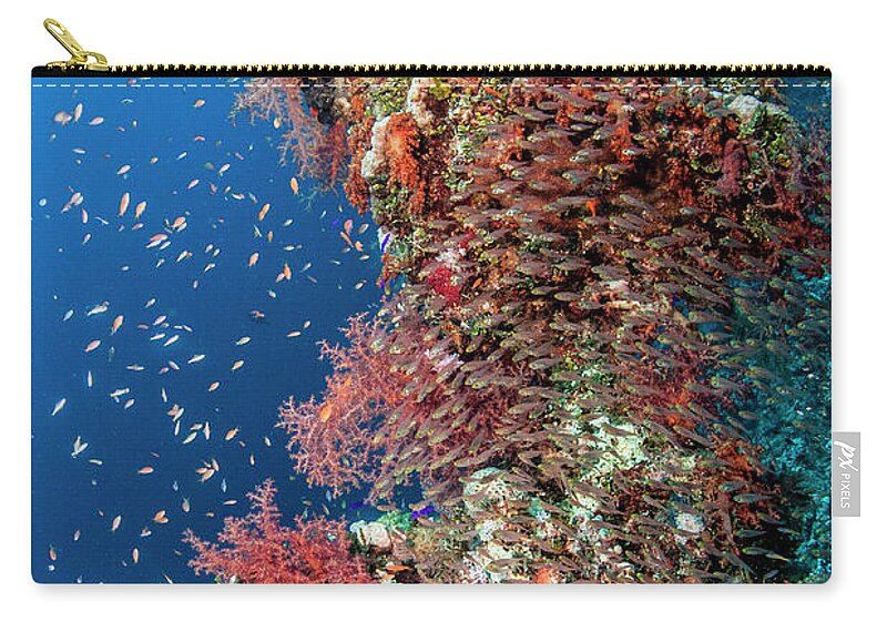 Underwater Zip Pouch featuring the photograph Glass Fishes Around Soft Corals by Lea Lee