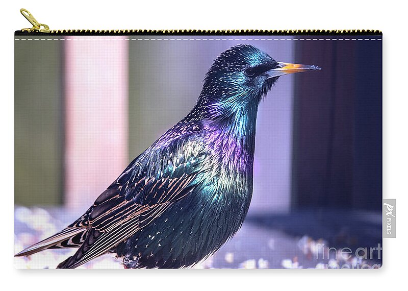 Starling Zip Pouch featuring the photograph Glorious Color on the Starling by Sandra J's