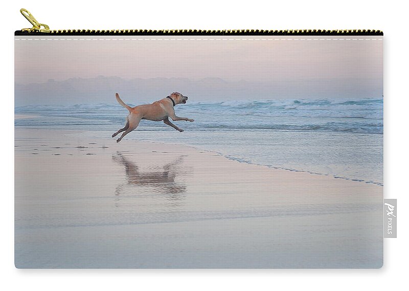 Animal Themes Zip Pouch featuring the photograph Go Fetch by Nadine Swart