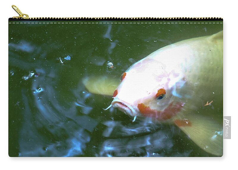 Fish Zip Pouch featuring the photograph Go Fish by C Winslow Shafer