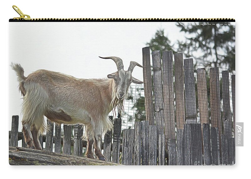Goat Zip Pouch featuring the photograph Goat On The Roof by Vivian Martin