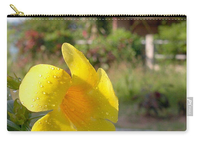Yellow Zip Pouch featuring the photograph Golden Dew by Steven Robiner