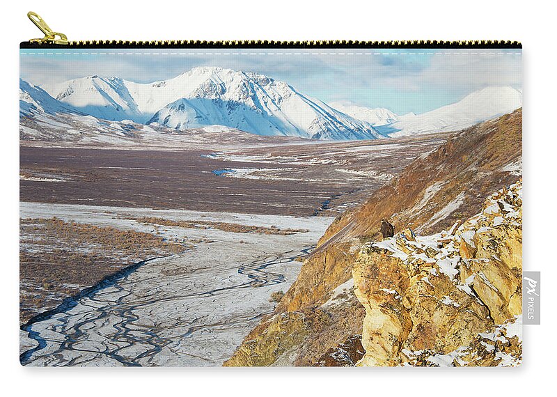 Alertness Zip Pouch featuring the photograph Golden Eagle Aquila Chrysaetos Sits On by Cathy Hart / Design Pics