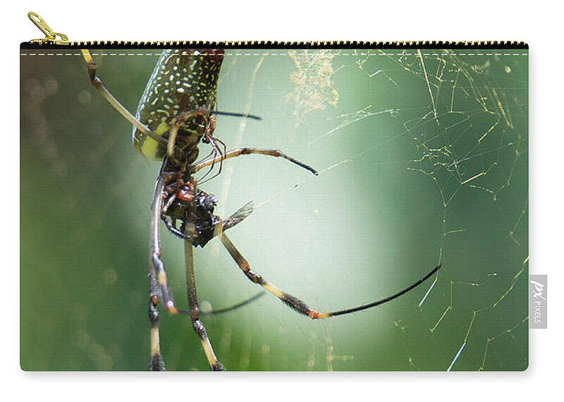 Spider Zip Pouch featuring the photograph Golden Orbs by Patrick Nowotny