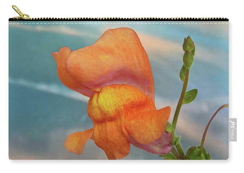 Snapdragon Zip Pouch featuring the photograph Golden Snapdragon by Terence Davis