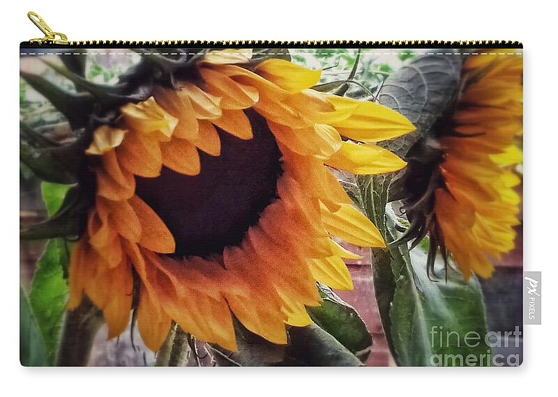 Sunflowers Zip Pouch featuring the photograph Golden Sunflowers by Joan-Violet Stretch