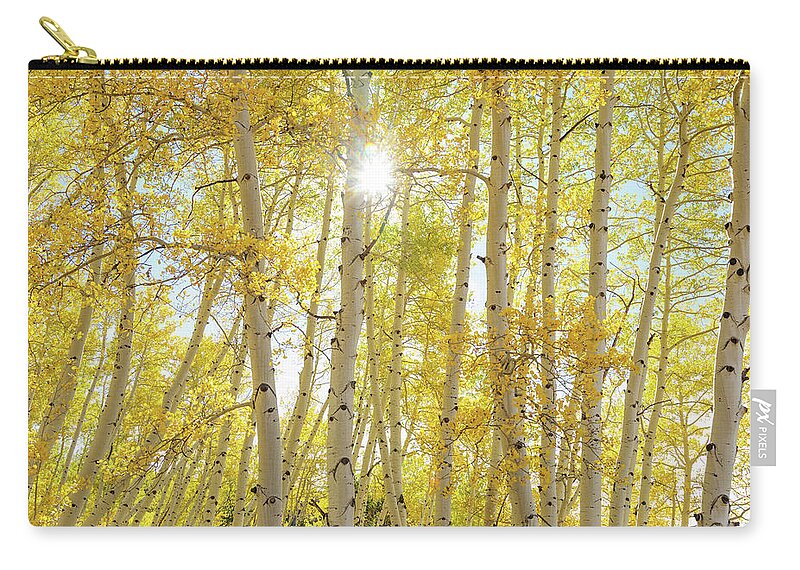 Sunshine Zip Pouch featuring the photograph Golden Sunshine On An Autumn Day by James BO Insogna