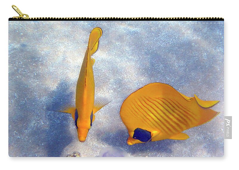 Underwater Zip Pouch featuring the photograph Gorgeous Beauties In The Red Sea by Johanna Hurmerinta