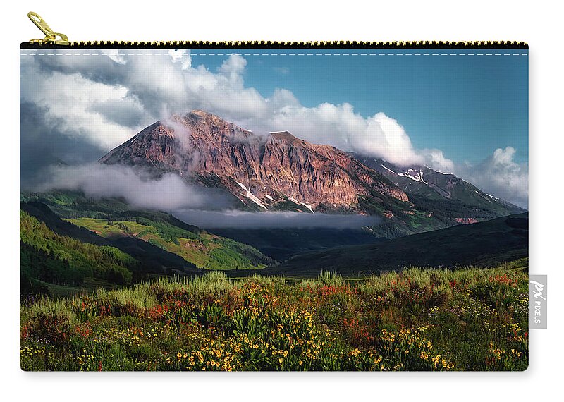 Flowers Zip Pouch featuring the photograph Gothic Morning by David Soldano