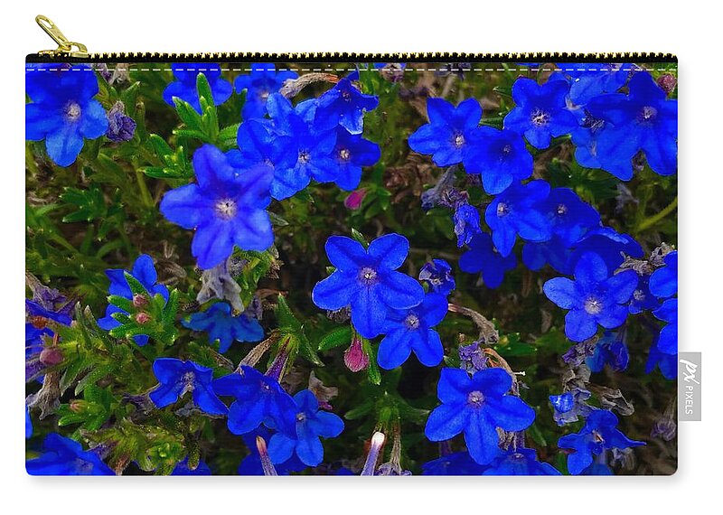 Grace Ward Zip Pouch featuring the photograph Grace in Blue by Suzanne Lorenz