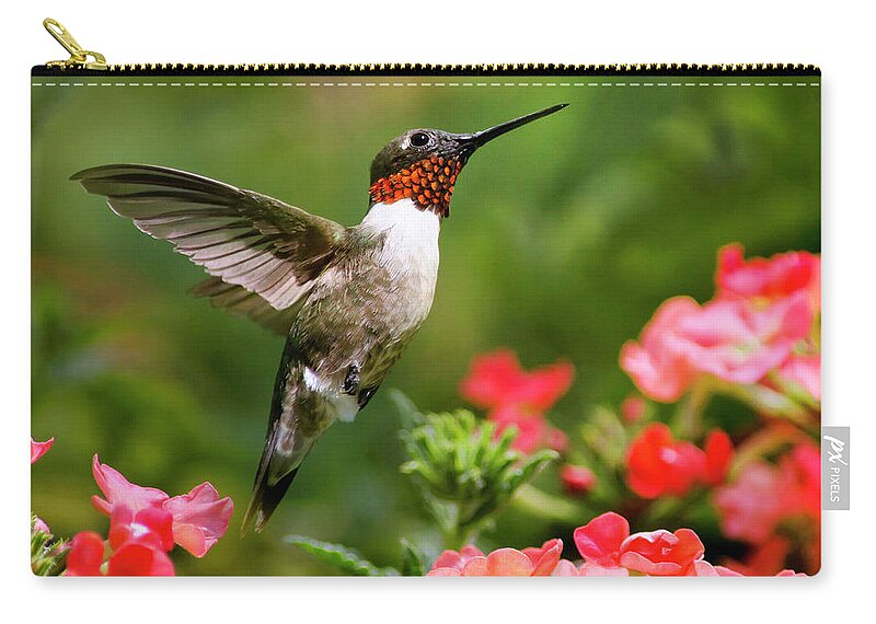 Hummingbirds Zip Pouch featuring the photograph Graceful Garden Jewel Hummingbird Square by Christina Rollo