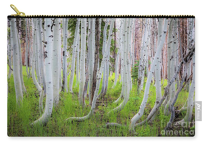 America Zip Pouch featuring the photograph Grand Canyon Birch Trees by Inge Johnsson