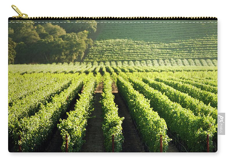 Scenics Zip Pouch featuring the photograph Grape Vines Vineyard Fields Of Napa by Yinyang