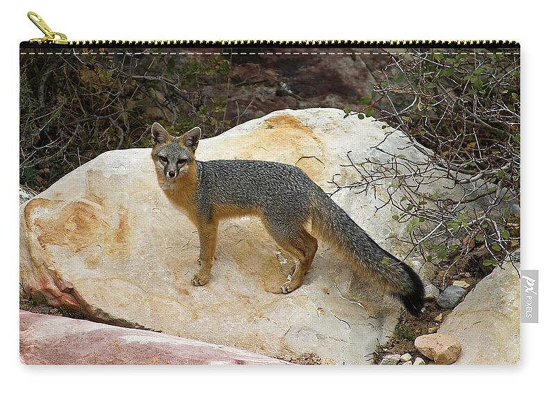 Animal Themes Zip Pouch featuring the photograph Gray Fox, Red Rock Canyon, Nevada by James Marvin Phelps