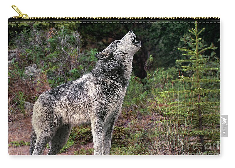 Gray Wolf Carry-all Pouch featuring the photograph Gray Wolf Howling Endangered Species Wildlife Rescue by Dave Welling