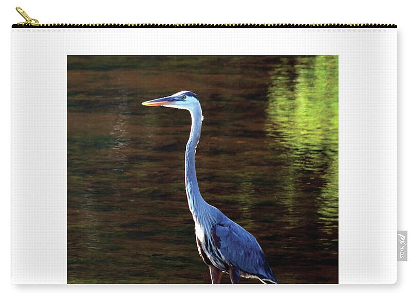 Great Blue Heron Zip Pouch featuring the digital art Great Blue Heron by Dianne Morgado