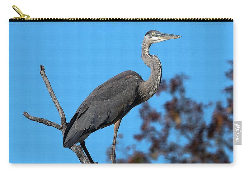 Nature Carry-all Pouch featuring the photograph Great Blue Heron in a Tree DMSB0210 by Gerry Gantt