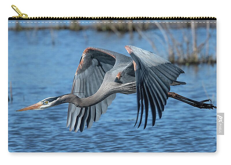 Nature Zip Pouch featuring the photograph Great Blue Heron in Flight DMSB0151 by Gerry Gantt