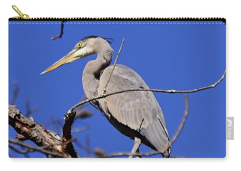 Great Blue Heron Zip Pouch featuring the photograph Great Blue Heron Strikes A Pose by Kerri Farley