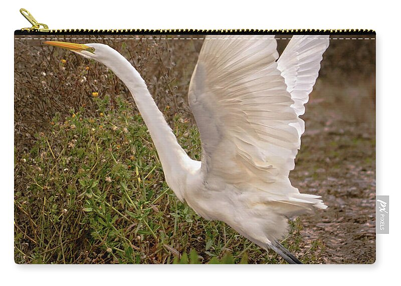 Nature Zip Pouch featuring the photograph Great Egret Taking Flight Near Richardson Bay by Brian Tada