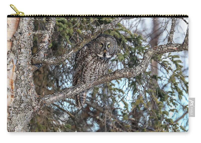 Sam Amato Photography Zip Pouch featuring the photograph Great Grey Owl Camouflage by Sam Amato