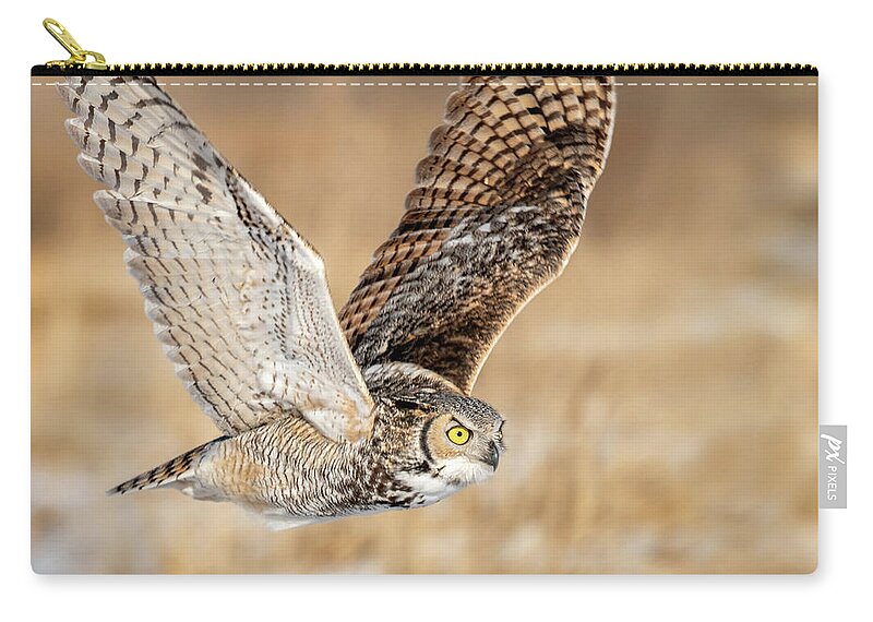 Great Horned Owl Zip Pouch featuring the photograph Great Horned Owl in Flight by Judi Dressler