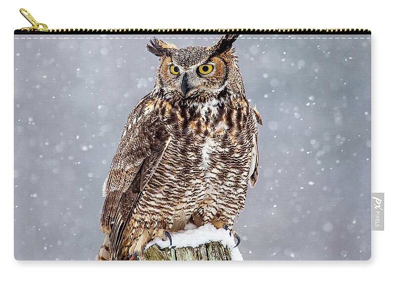 Horned Zip Pouch featuring the photograph Great Horned Owl by Paul Bruch Photography