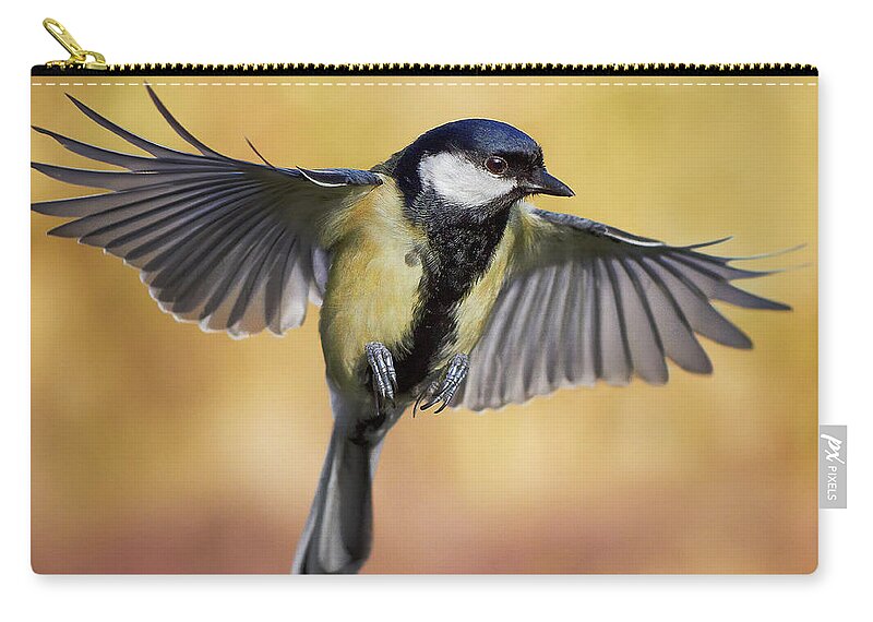 https://render.fineartamerica.com/images/rendered/default/flat/pouch/images/artworkimages/medium/2/great-tit-in-flight-j-n-photography.jpg?&targetx=0&targety=-68&imagewidth=777&imageheight=611&modelwidth=777&modelheight=474&backgroundcolor=D4B46D&orientation=0&producttype=pouch-regularbottom-medium