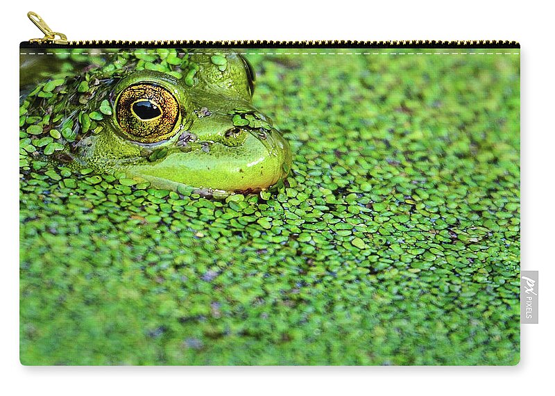 Animal Themes Zip Pouch featuring the photograph Green Bullfrog In Pond by Patti White Photography