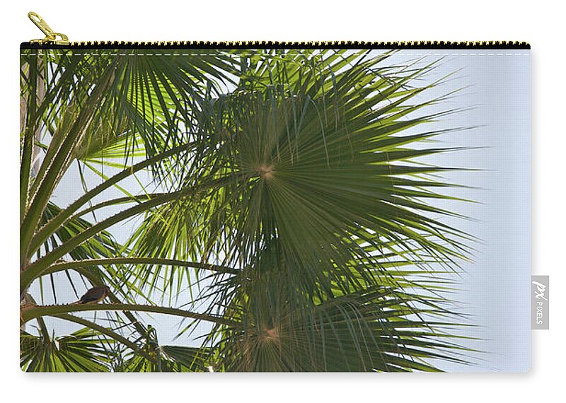 Bunch Zip Pouch featuring the photograph Green Clusters Of Palm Fronds Against by Barry Winiker