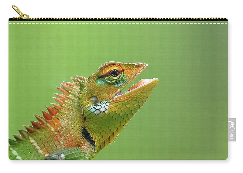 Natural Pattern Zip Pouch featuring the photograph Green Forest Lizard by Saranga Deva De Alwis