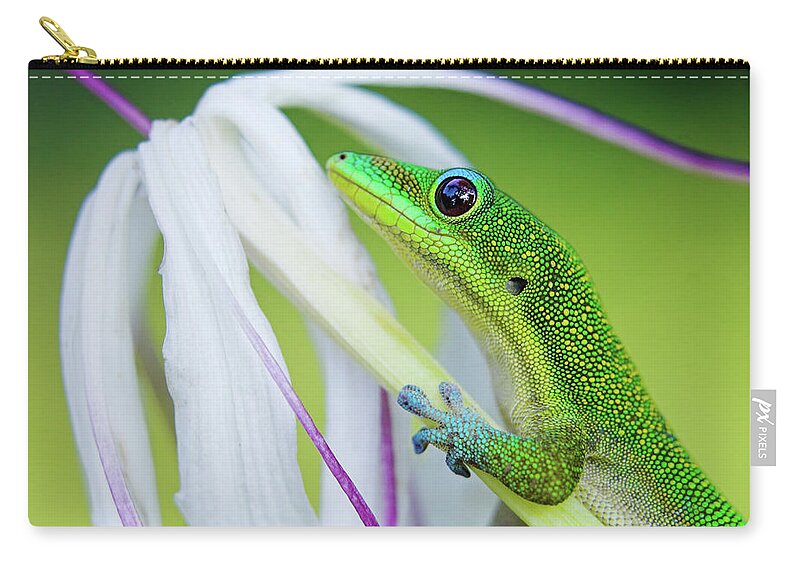 Animal Themes Zip Pouch featuring the photograph Green Gecko by Pete Orelup