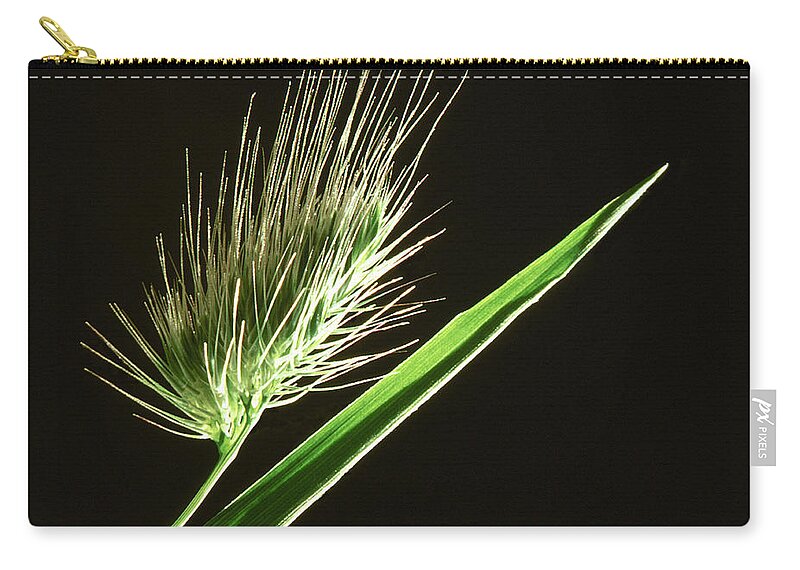 Grass Family Zip Pouch featuring the photograph Green Seed Head Of Wild Grass, Close-up by Diane Miller