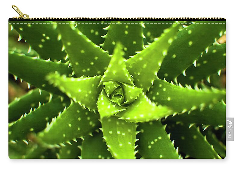 Outdoors Zip Pouch featuring the photograph Green Succulent Close-up by Lmk Photography
