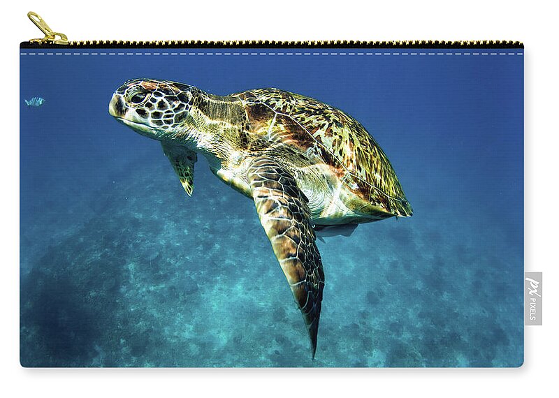 Underwater Zip Pouch featuring the photograph Green Turtle by Kampee Patisena