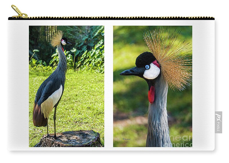 Gulf Zip Pouch featuring the photograph Grey Crowned Crane Gulf Shores Al Collage 10 Diptych by Ricardos Creations