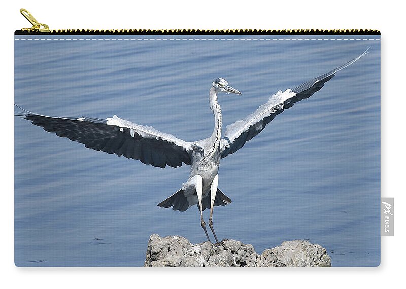 Heron Carry-all Pouch featuring the photograph Grey Heron Landing by Ben Foster