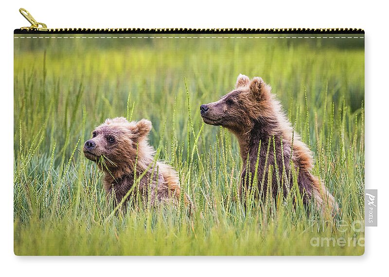 Grizzly Zip Pouch featuring the photograph Grizzly cubs by Lyl Dil Creations