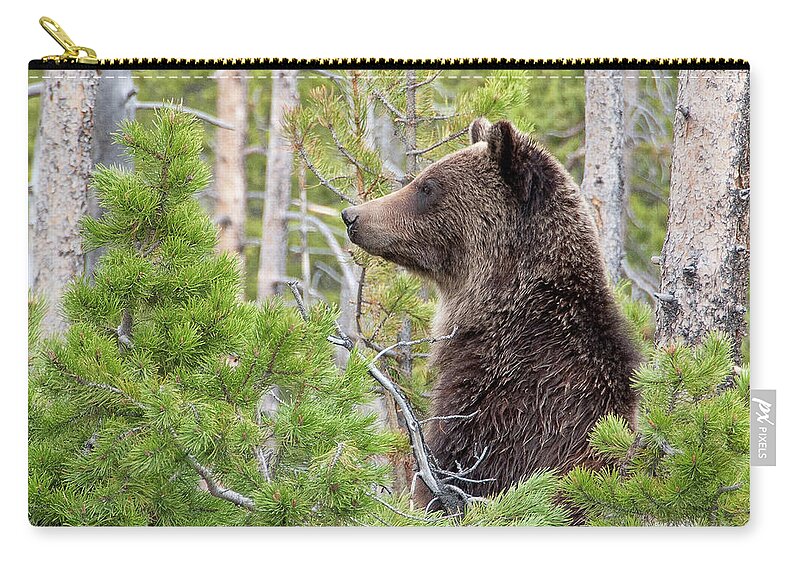 Grizzly Zip Pouch featuring the photograph Grizzly Profile by Steve Stuller