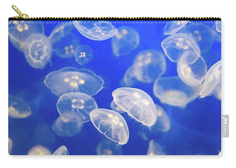 Underwater Zip Pouch featuring the photograph Group Of Small Jelly Fish by Carolyn Hebbard