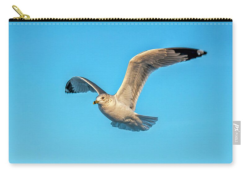 Seagull Carry-all Pouch featuring the photograph Gull In Flight 2 by Cathy Kovarik