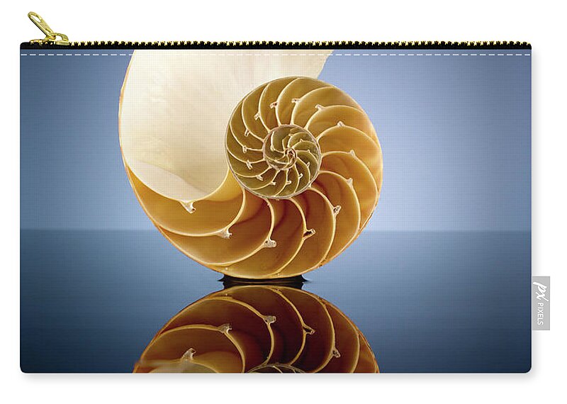 Tranquility Zip Pouch featuring the photograph Half A Nautilus Shell In A Pool Of Water by Chris Stein