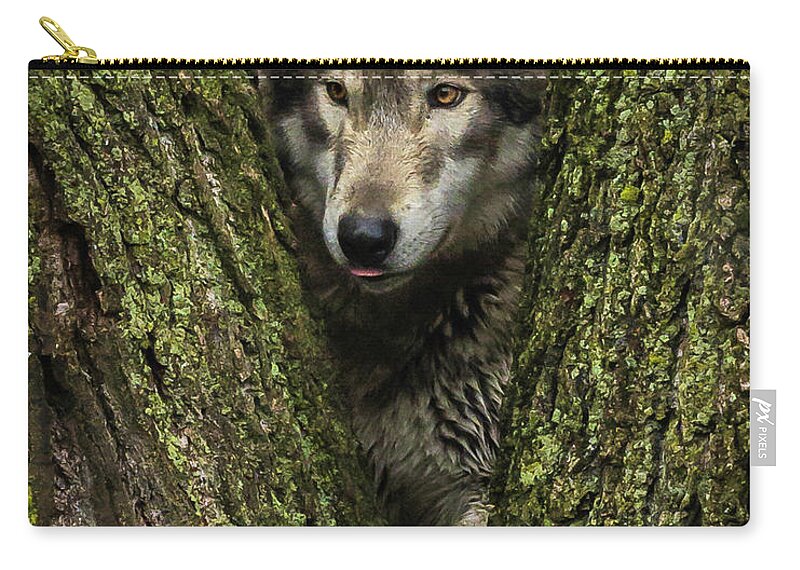 Wolf Wolves Zip Pouch featuring the photograph Hangin in the Tree by Laura Hedien