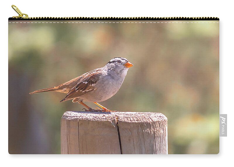 Bird Zip Pouch featuring the photograph Hanging Out by Alison Frank