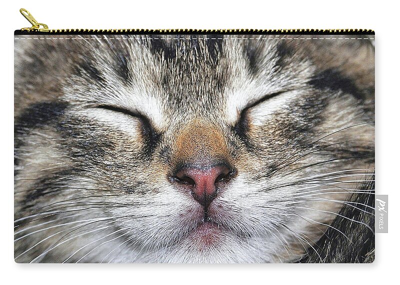 Be Zip Pouch featuring the photograph Happy Cat by JAMART Photography