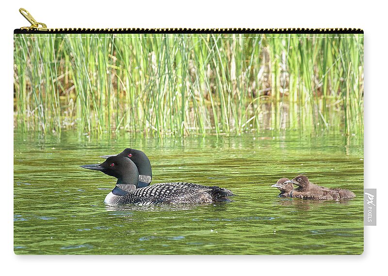 Loons Zip Pouch featuring the photograph Happy Family by Penny Meyers